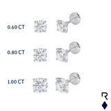Midi stud earrings מחירון