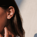 עגילי chablis זהב צהוב