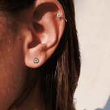 עגילי chablis זהב צהוב